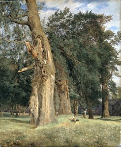 Olmos velhos em Prater, 1831